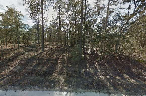 1.25 Acres of Residential Land for Sale in Morriston, Florida