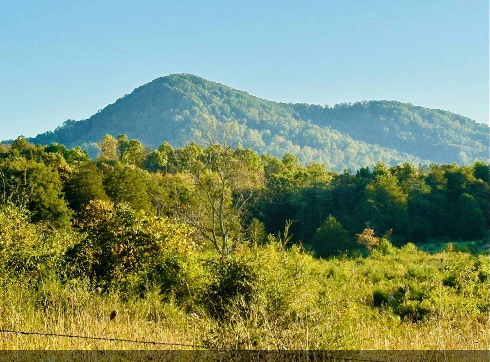 15 Acres of Land for Sale in Tazewell, Tennessee