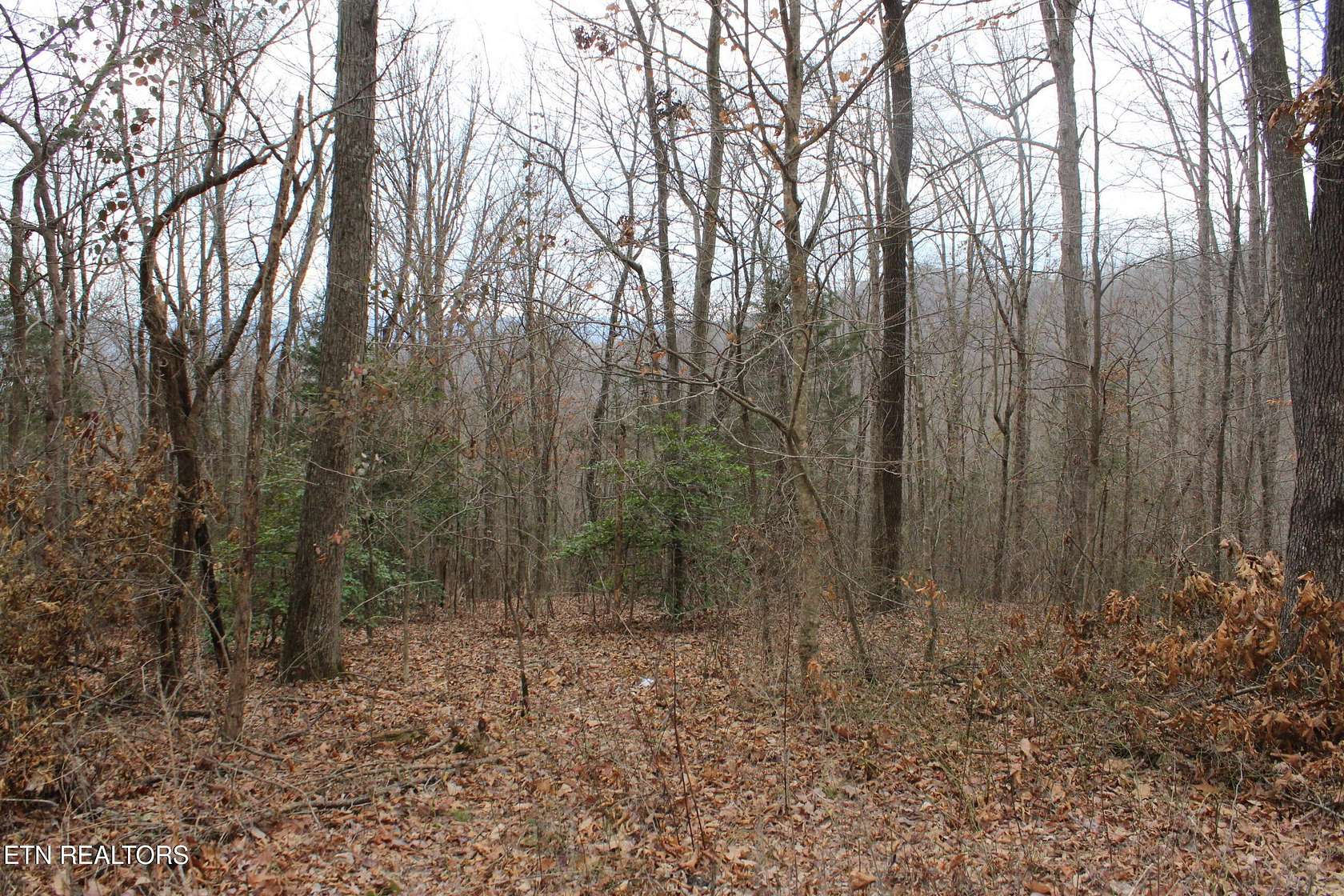 3 Acres of Residential Land for Sale in Jamestown, Tennessee