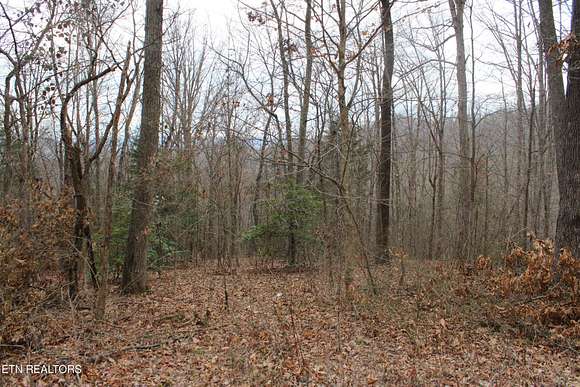 3 Acres of Residential Land for Auction in Jamestown, Tennessee