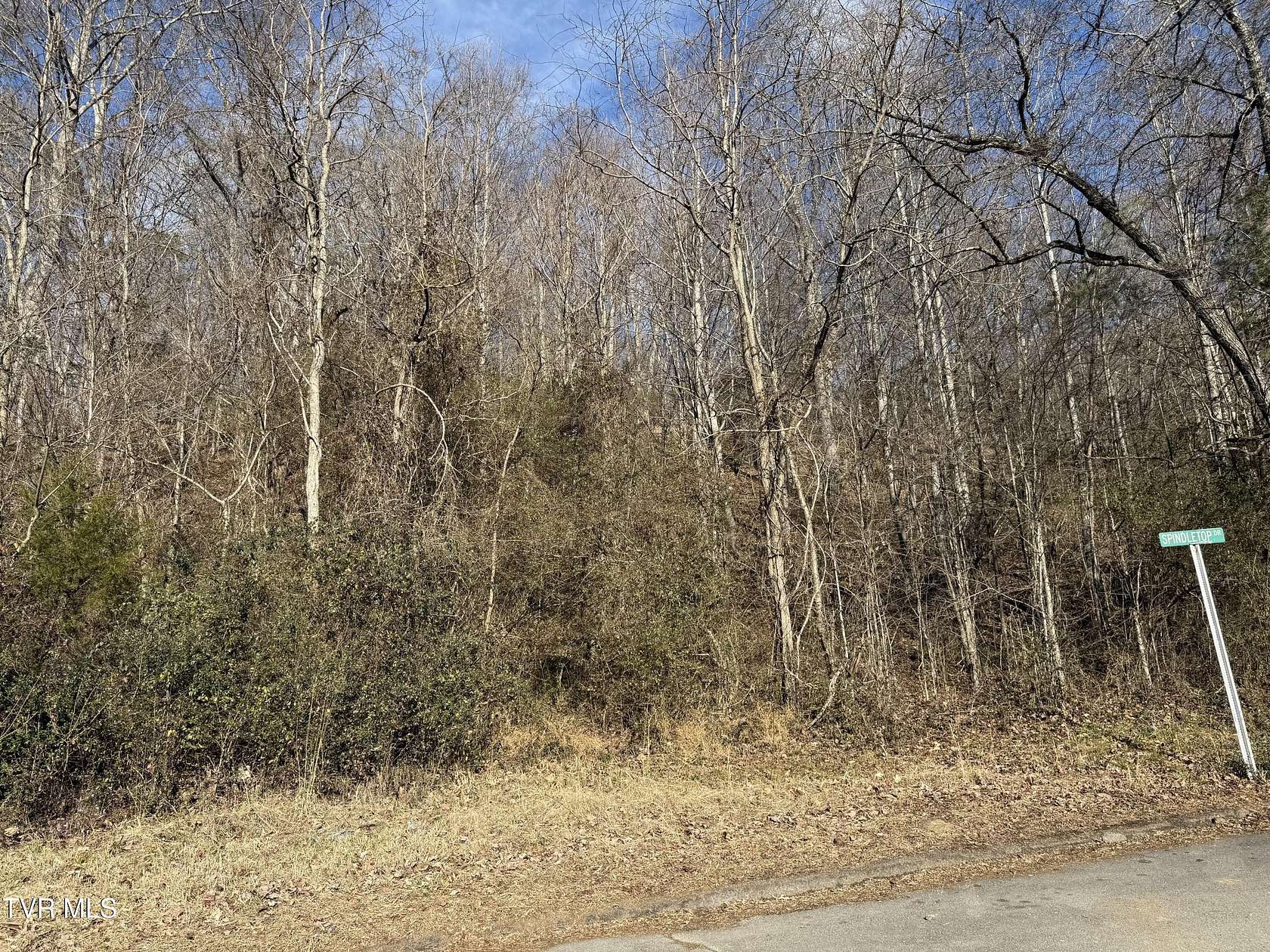 Residential Land for Sale in Rogersville, Tennessee