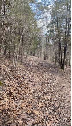 200 Acres of Recreational Land & Farm for Sale in Iberia, Missouri