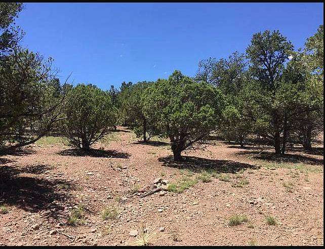 1.72 Acres of Residential Land for Sale in Datil, New Mexico