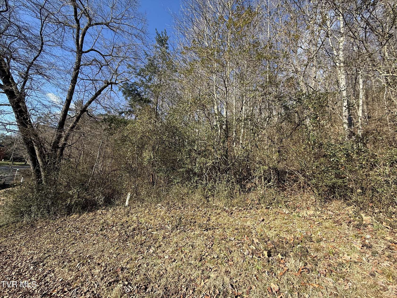 Residential Land for Sale in Rogersville, Tennessee