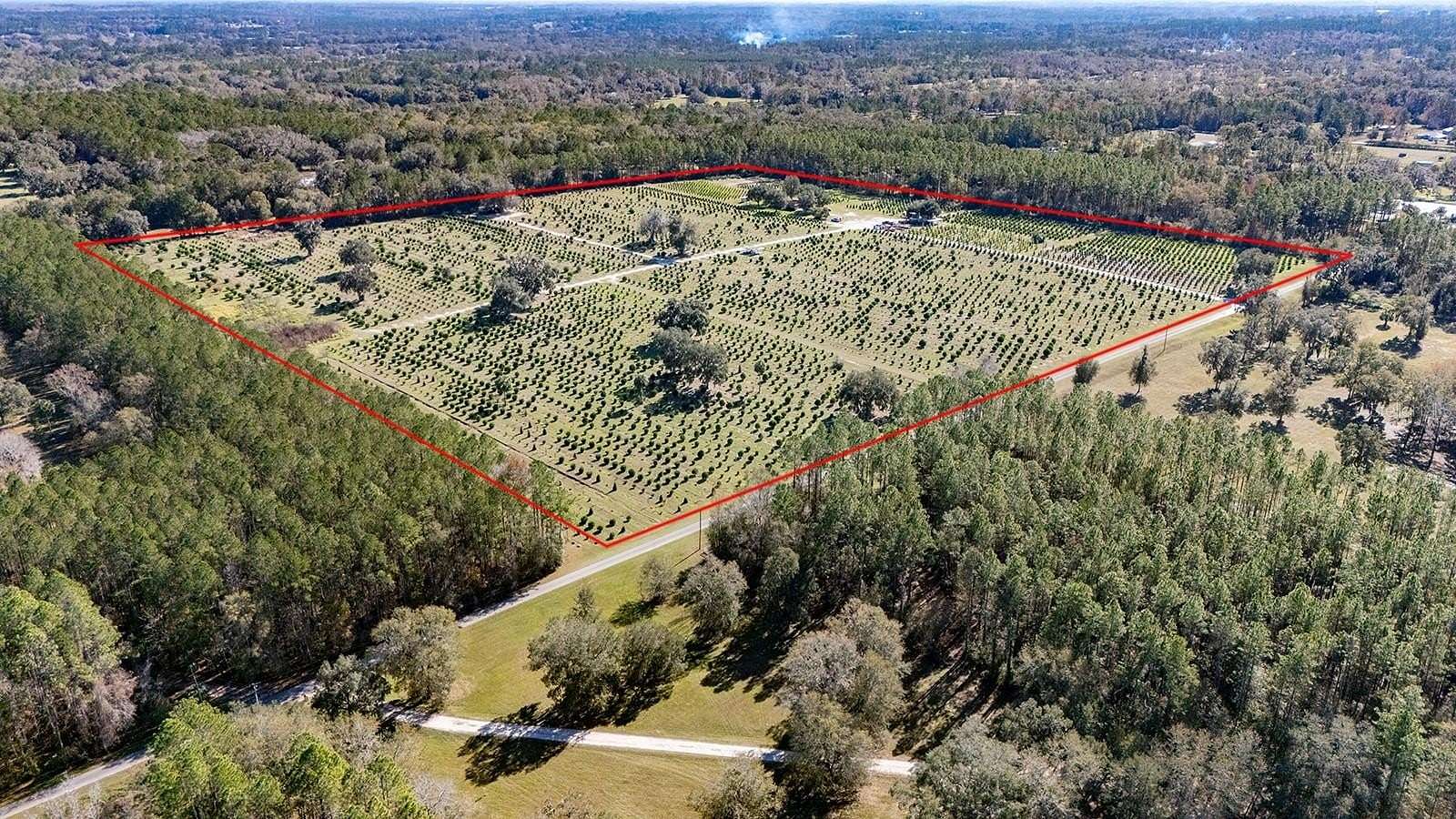 40 Acres of Improved Land for Sale in Reddick, Florida