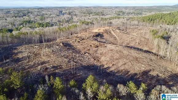 38.54 Acres of Land for Sale in Sylacauga, Alabama