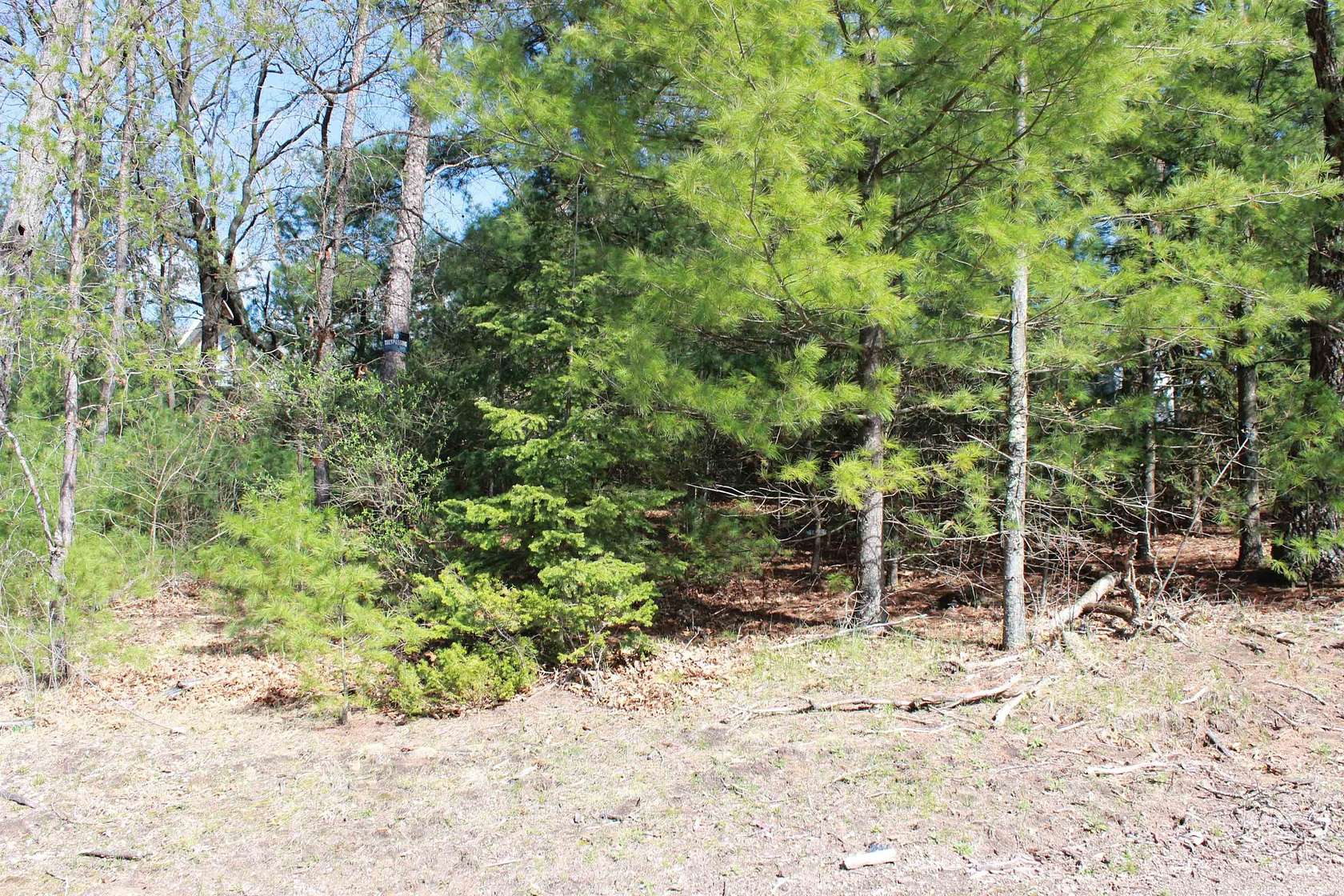 0.29 Acres of Residential Land for Sale in Friendship, Wisconsin