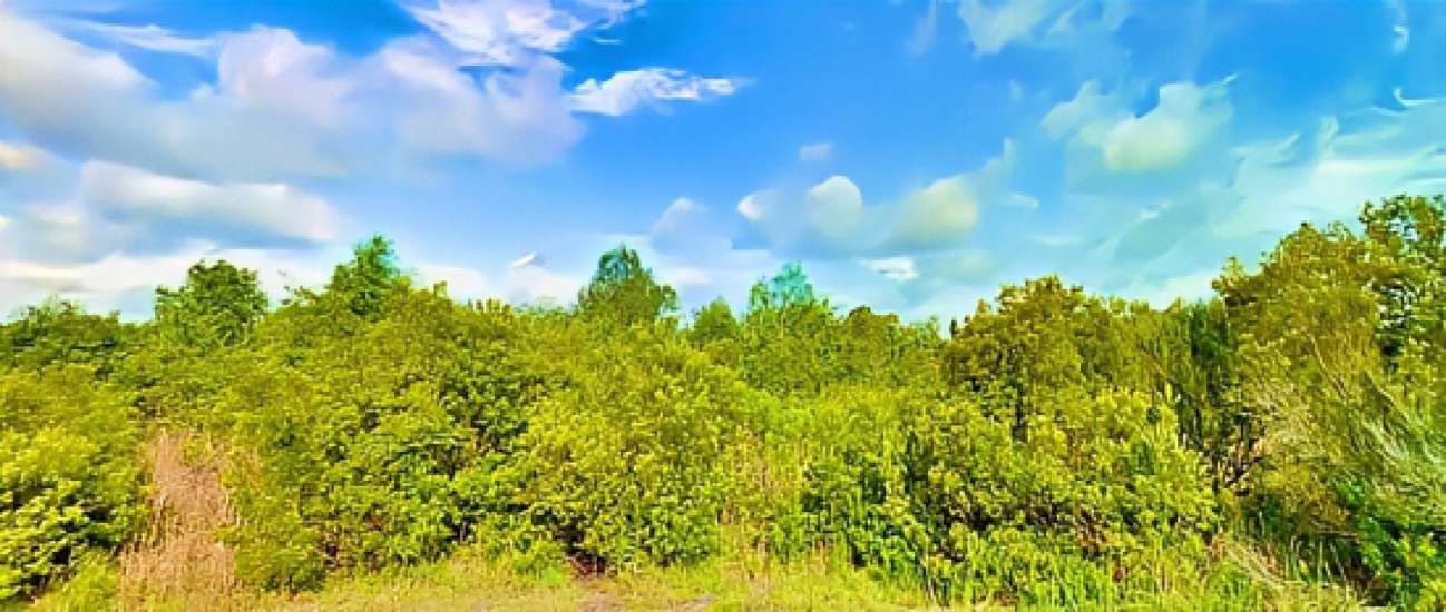 0.51 Acres of Recreational Land for Sale in Lakeland, Florida