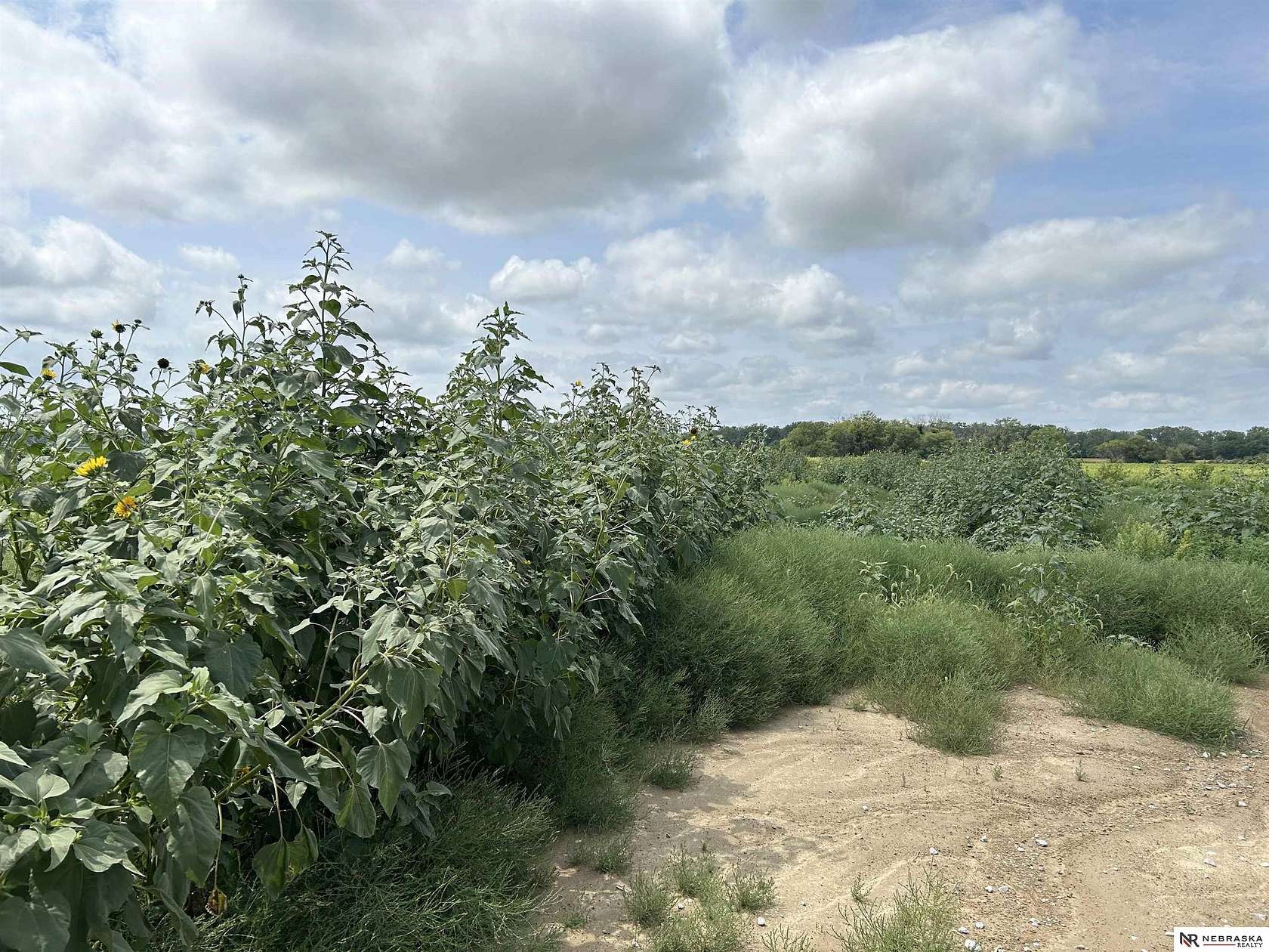 19.6 Acres of Land for Sale in Gretna, Nebraska