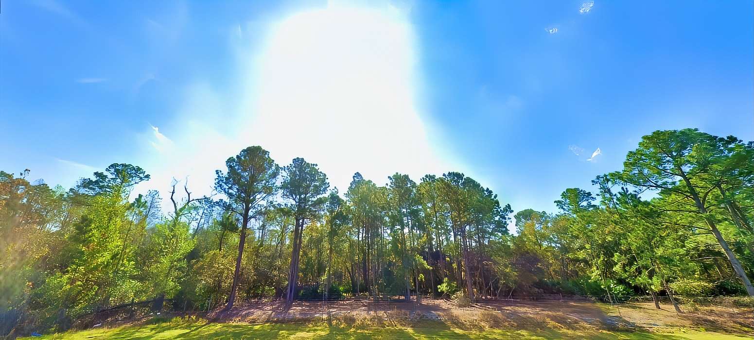 1.26 Acres of Recreational Land for Sale in Davenport, Florida