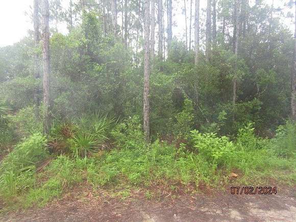 1 Acre of Residential Land for Sale in Carrabelle, Florida