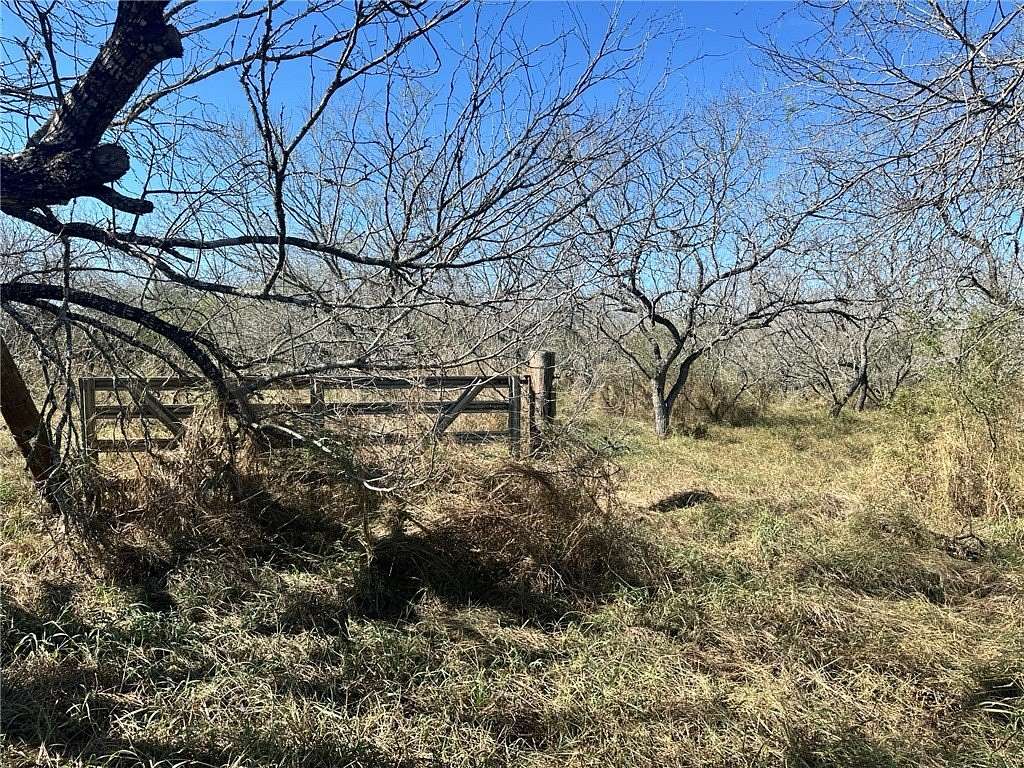 3.25 Acres of Residential Land for Sale in Kingsville, Texas