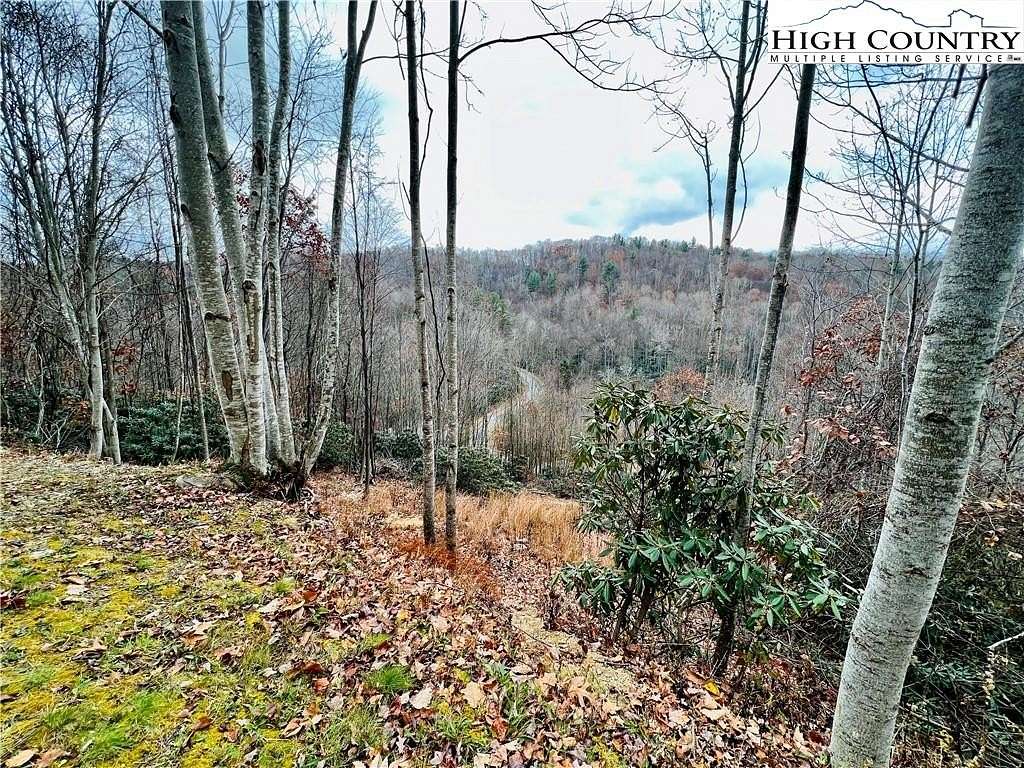 1.2 Acres of Residential Land for Sale in Elk Park, North Carolina