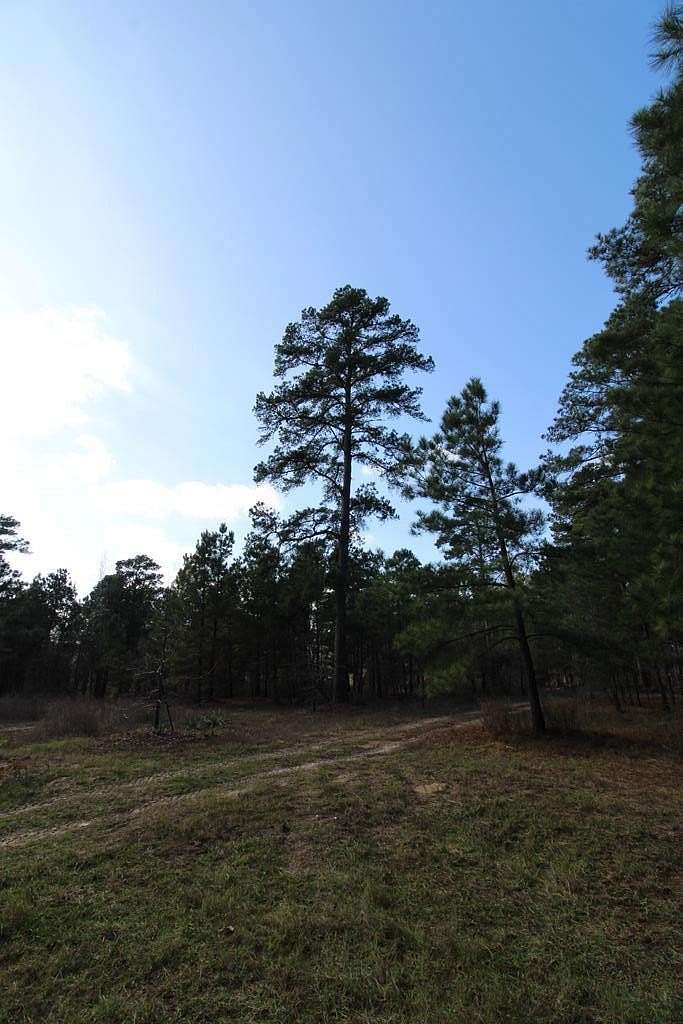 27.19 Acres of Recreational Land for Sale in Palestine, Texas