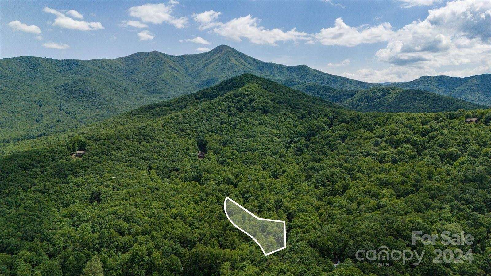 1 Acre of Land for Sale in Candler, North Carolina