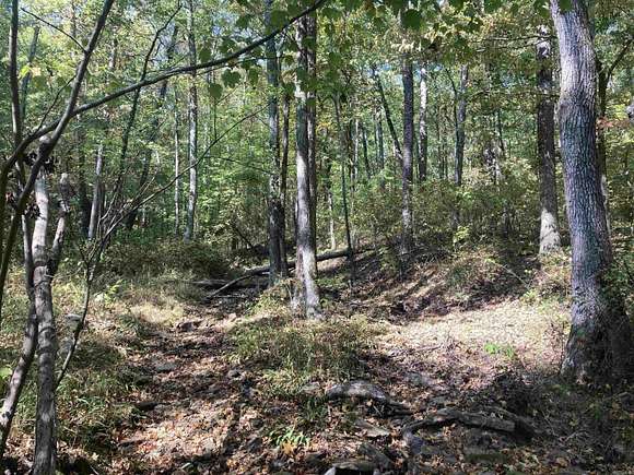 40 Acres of Recreational Land for Sale in Mountain View, Arkansas