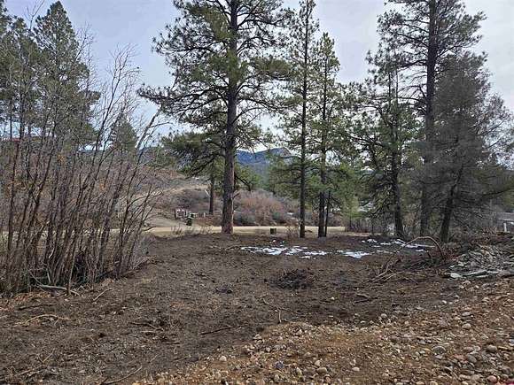 1 Acre of Residential Land for Sale in Pagosa Springs, Colorado