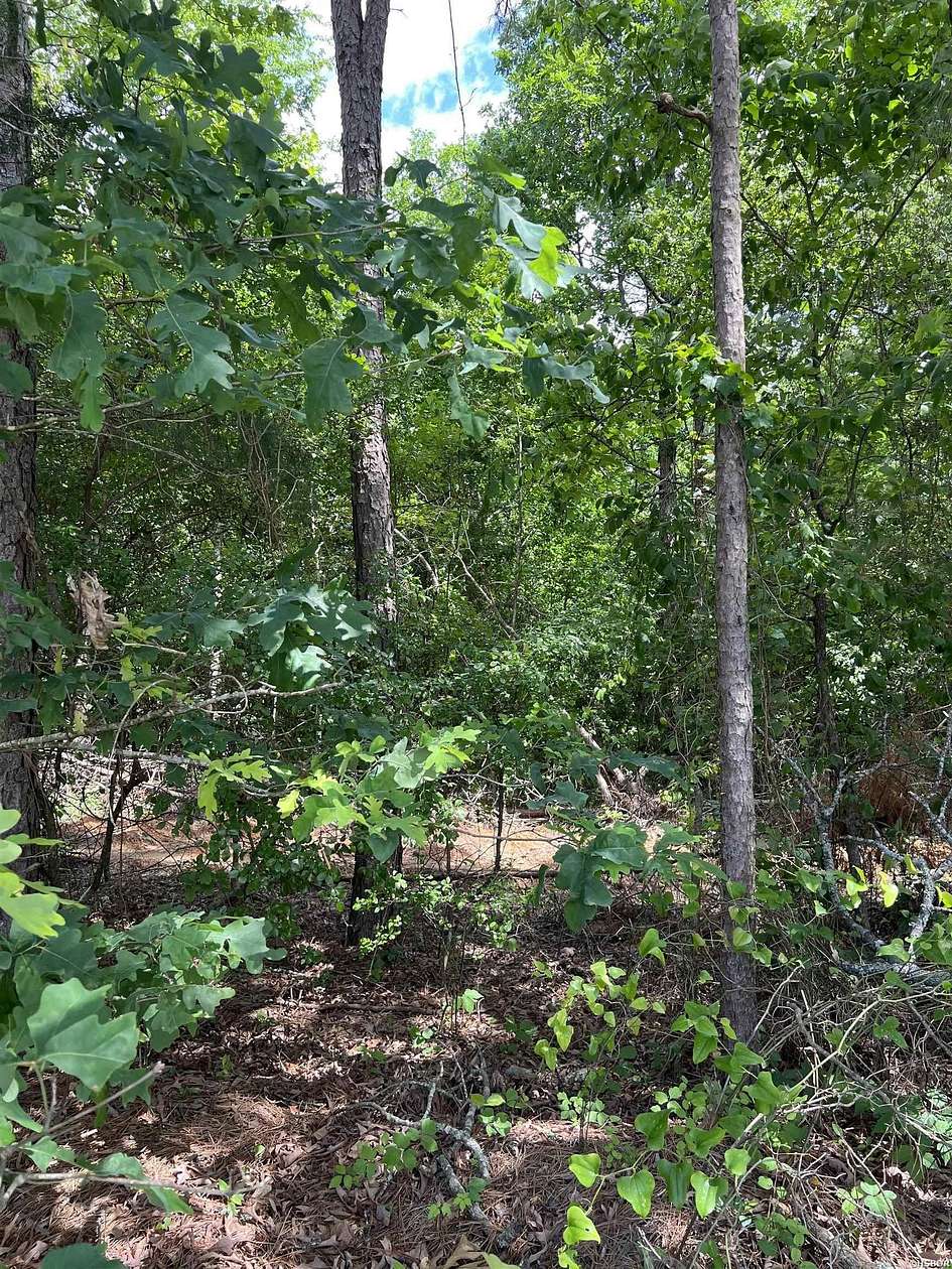 3.25 Acres of Residential Land for Sale in Glenwood, Arkansas