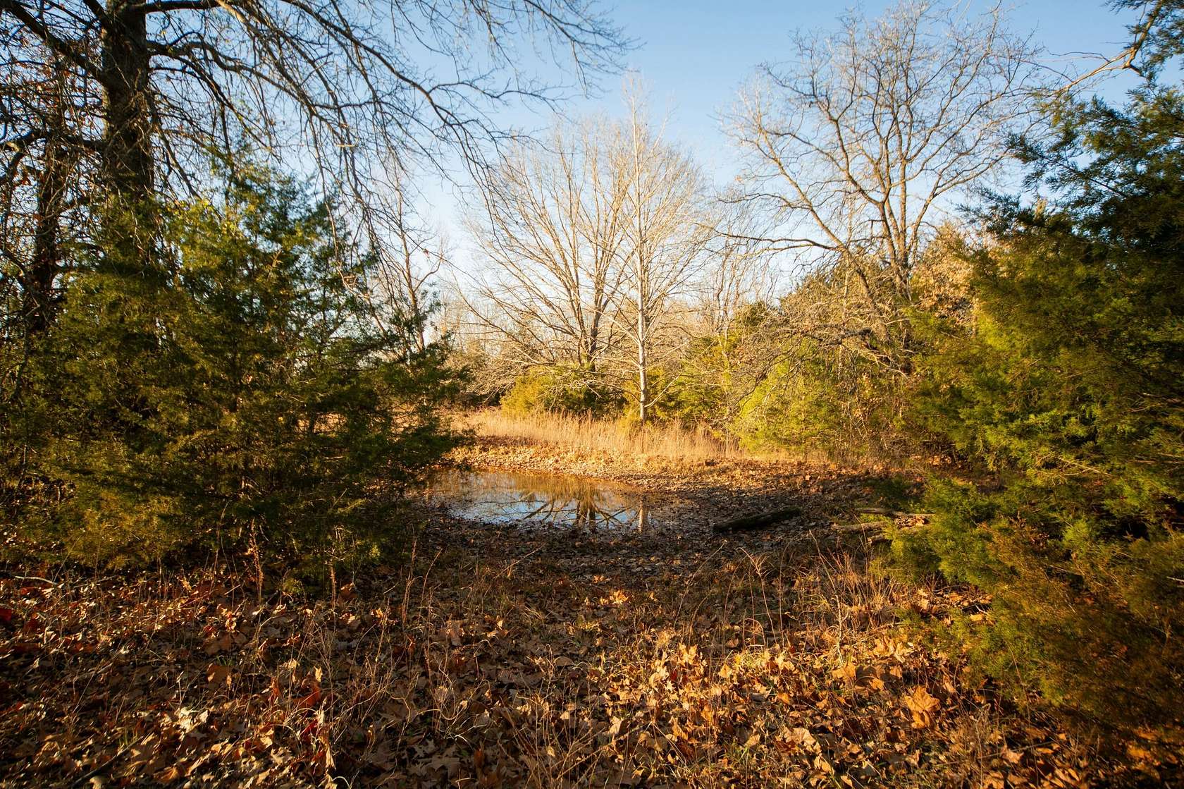 20 Acres of Recreational Land for Sale in Stockton, Missouri