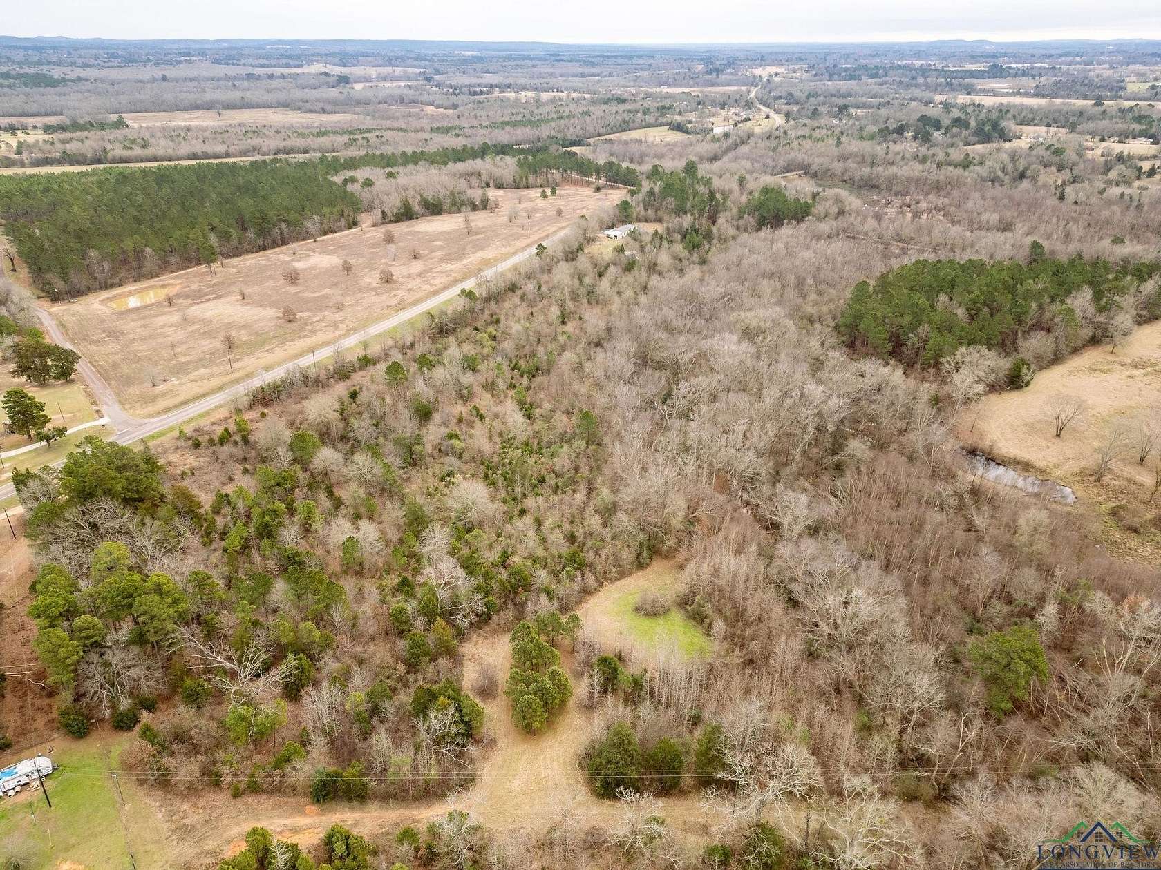 20 Acres of Recreational Land for Sale in Gilmer, Texas