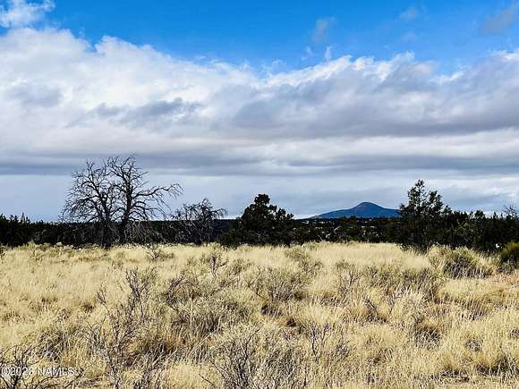 20 Acres of Land for Sale in Williams, Arizona