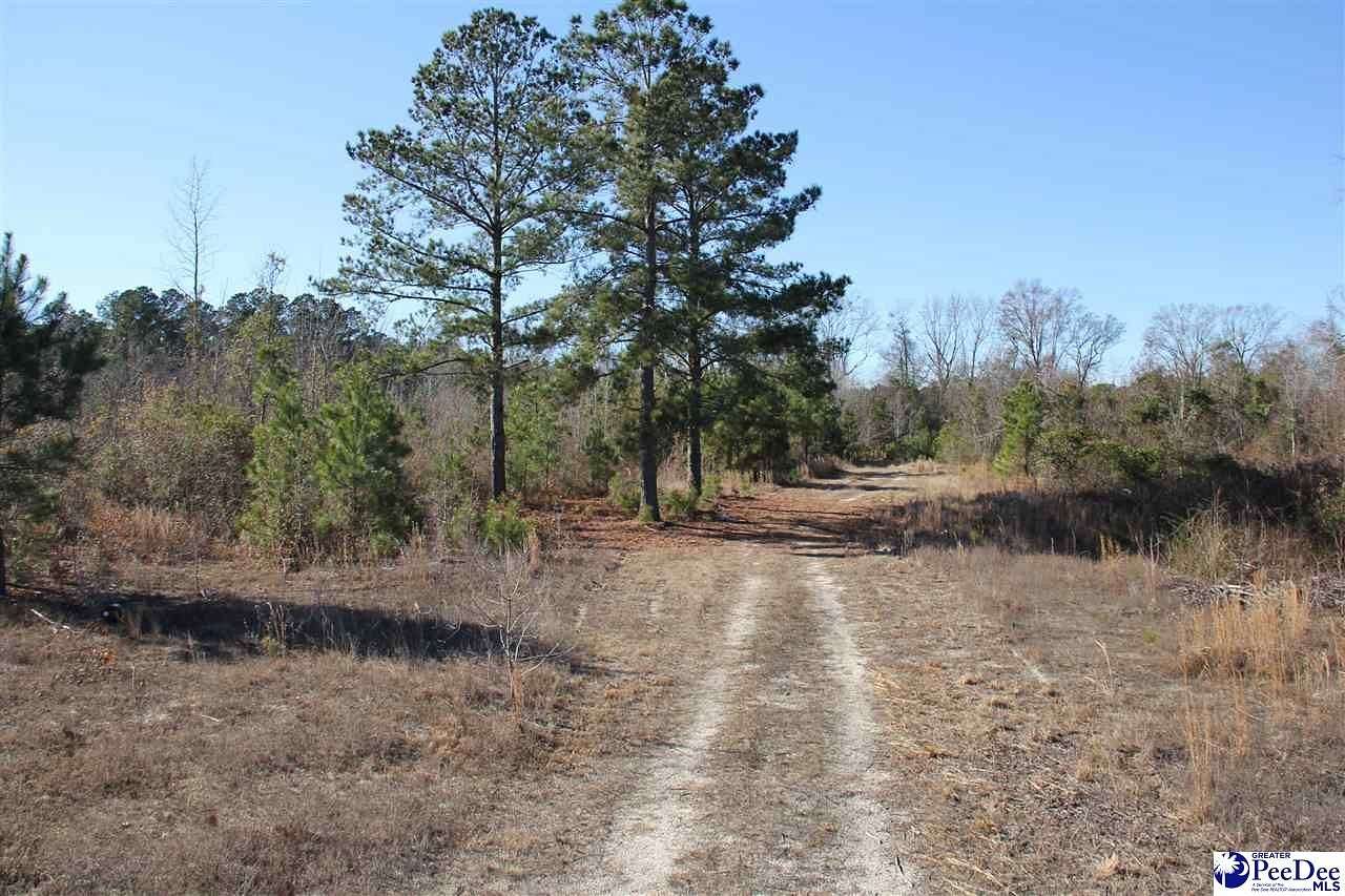 5 Acres of Land for Sale in Lamar, South Carolina