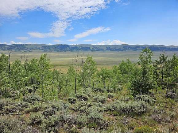 2.5 Acres Of Residential Land For Sale In Fairplay, Colorado - Landsearch