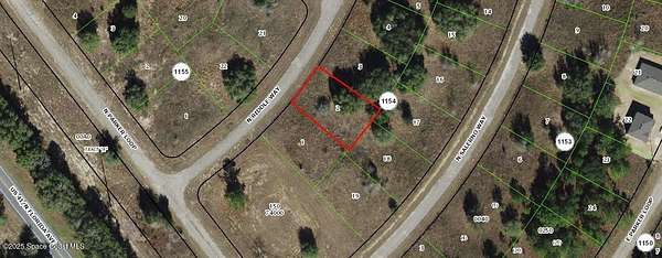 0.23 Acres of Land for Sale in Citrus Springs, Florida