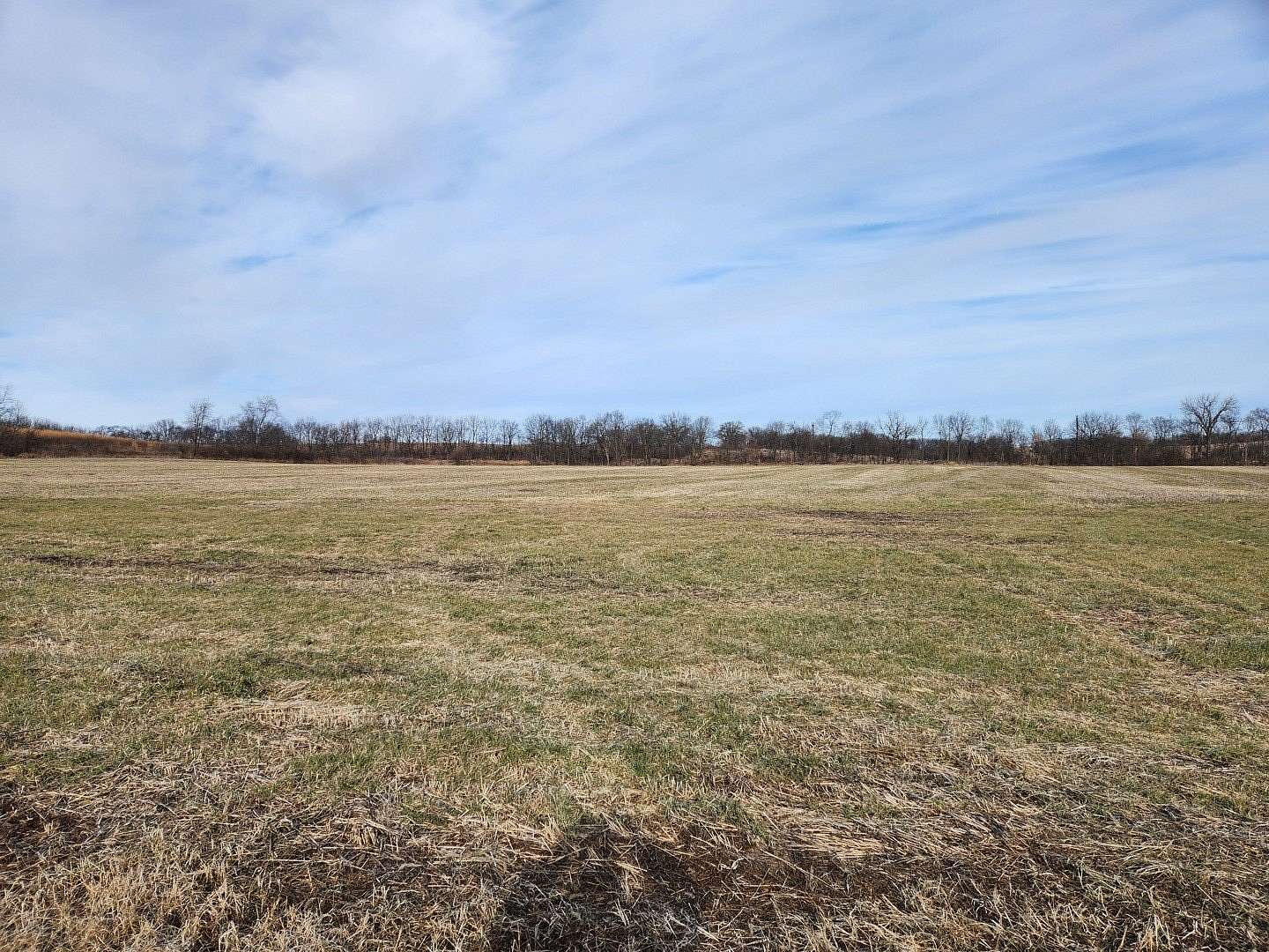 175 Acres of Agricultural Land for Sale in Dixon, Illinois