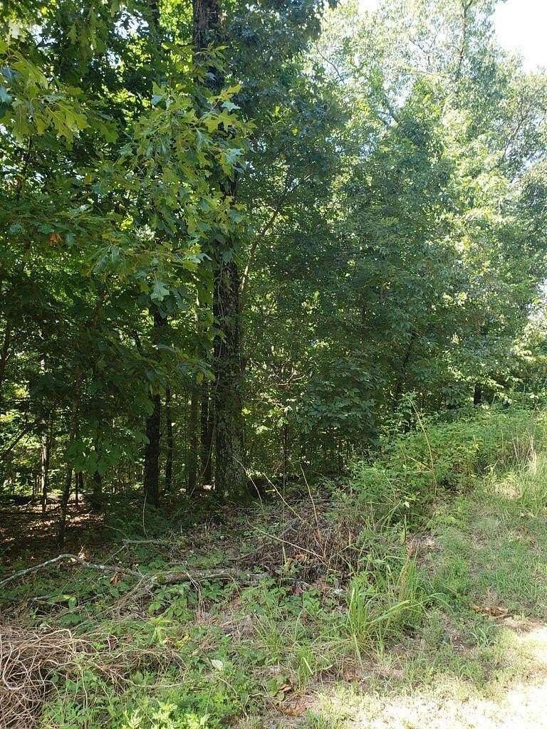 0.95 Acres of Residential Land for Sale in Chattanooga, Tennessee