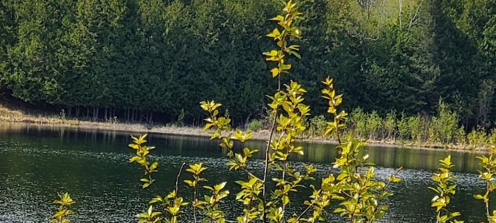 10.2 Acres of Recreational Land for Sale in Atlanta, Michigan