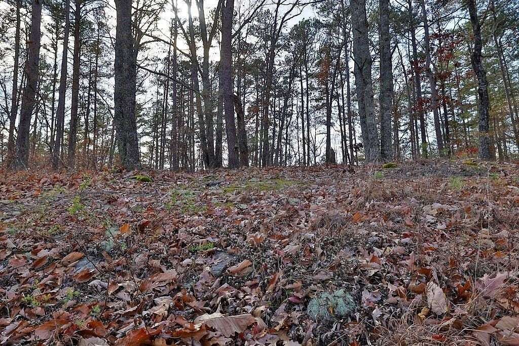 5 Acres of Residential Land for Sale in Waleska, Georgia