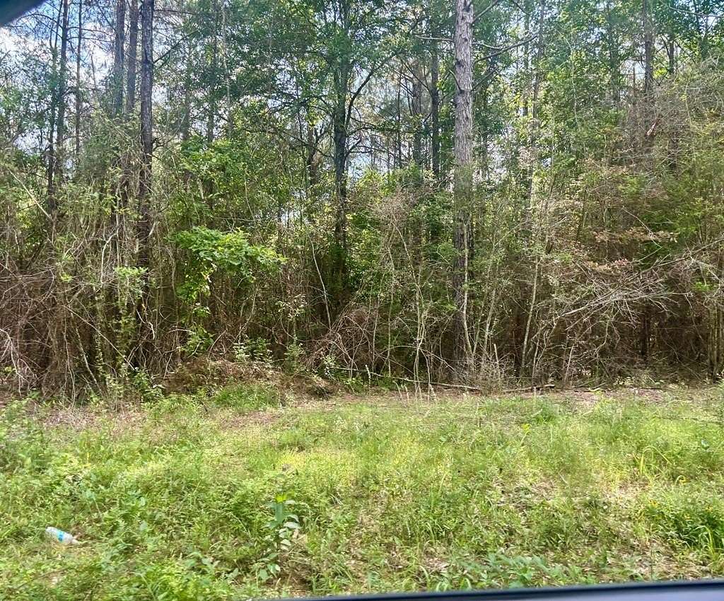 5.38 Acres of Residential Land for Sale in Poplarville, Mississippi