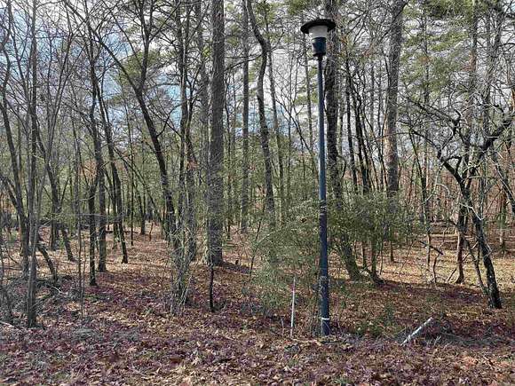 0.33 Acres of Residential Land for Sale in Hot Springs Village, Arkansas