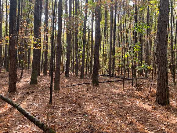 71.8 Acres of Recreational Land for Sale in Redfield, Arkansas