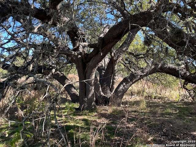 3.6 Acres of Residential Land for Sale in Canyon Lake, Texas