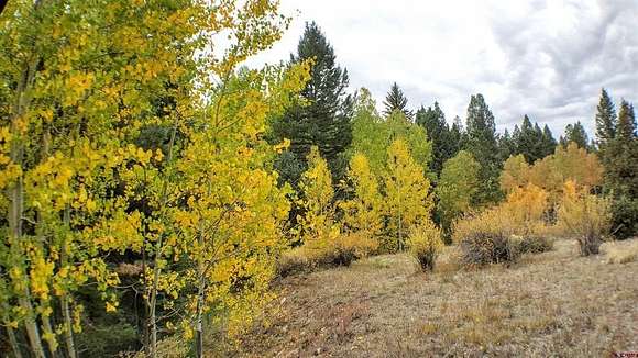 40 Acres of Recreational Land for Sale in Del Norte, Colorado