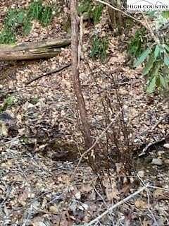 0.22 Acres of Residential Land for Sale in West Jefferson, North Carolina