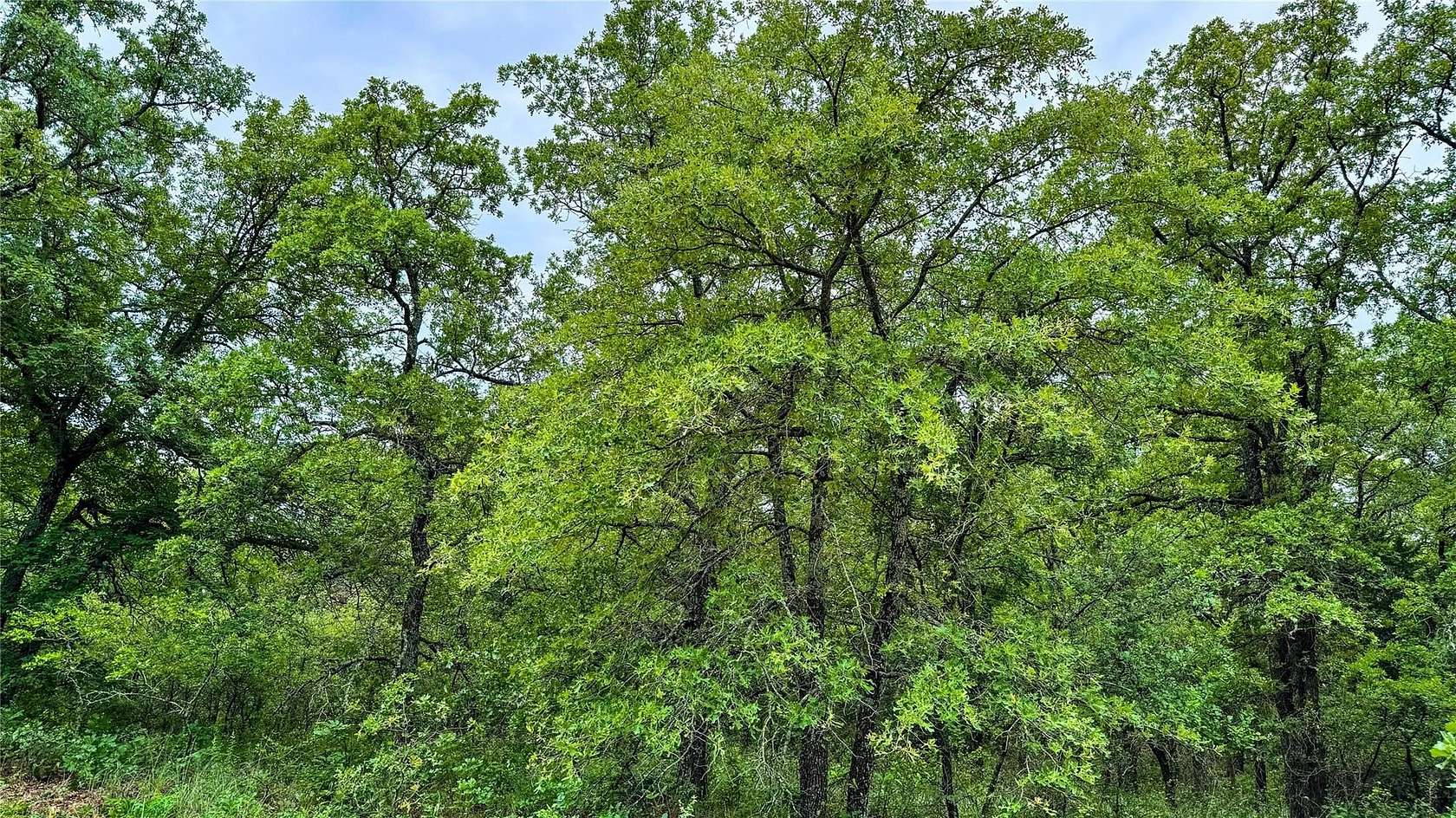 0.5 Acres of Residential Land for Sale in Nocona, Texas