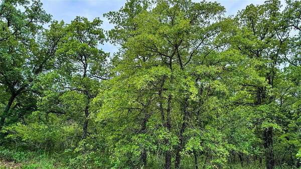 0.5 Acres of Residential Land for Sale in Nocona, Texas