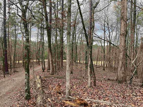 0.54 Acres of Residential Land for Sale in Hot Springs Village, Arkansas