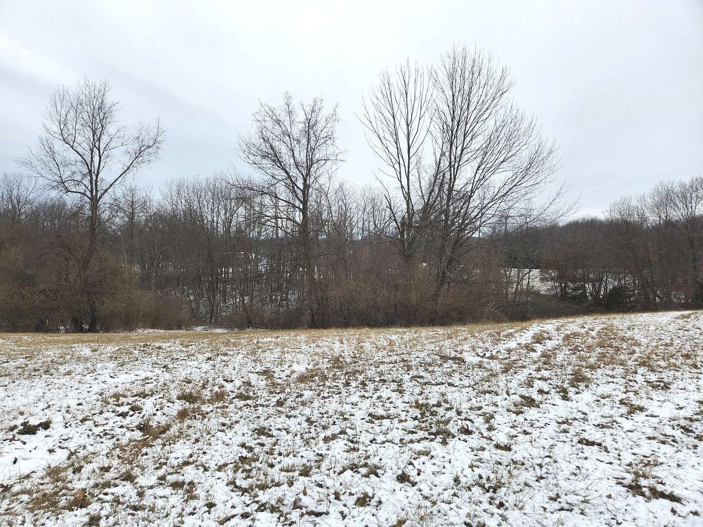 Land for Sale in Varna, Illinois