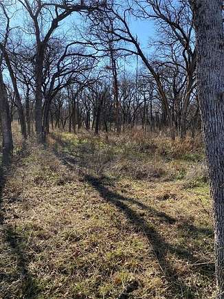 2.232 Acres of Residential Land for Sale in Alvord, Texas