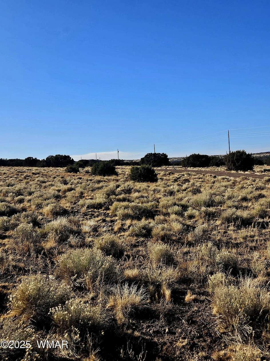 0.24 Acres of Residential Land for Sale in Concho, Arizona