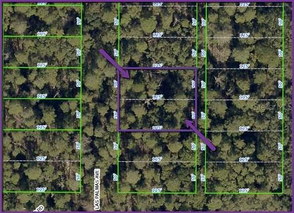 0.29 Acres of Residential Land for Sale in Spring Hill, Florida