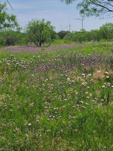 40.6 Acres of Recreational Land & Farm for Sale in Cisco, Texas