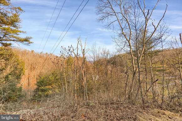 23.38 Acres Of Recreational Land With Home For Sale In Herndon 