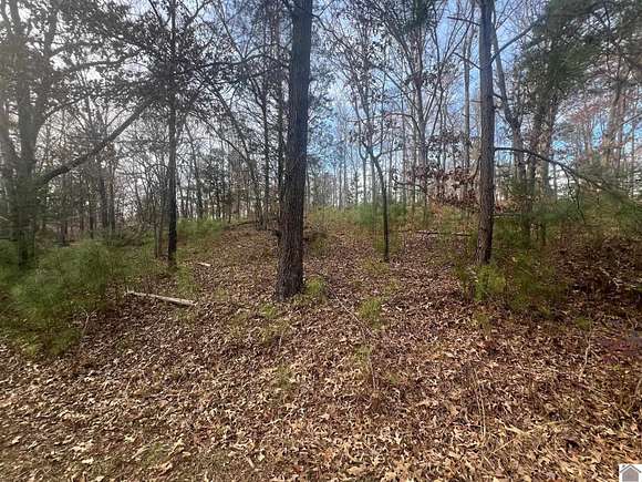 1 Acre of Residential Land for Sale in Gilbertsville, Kentucky