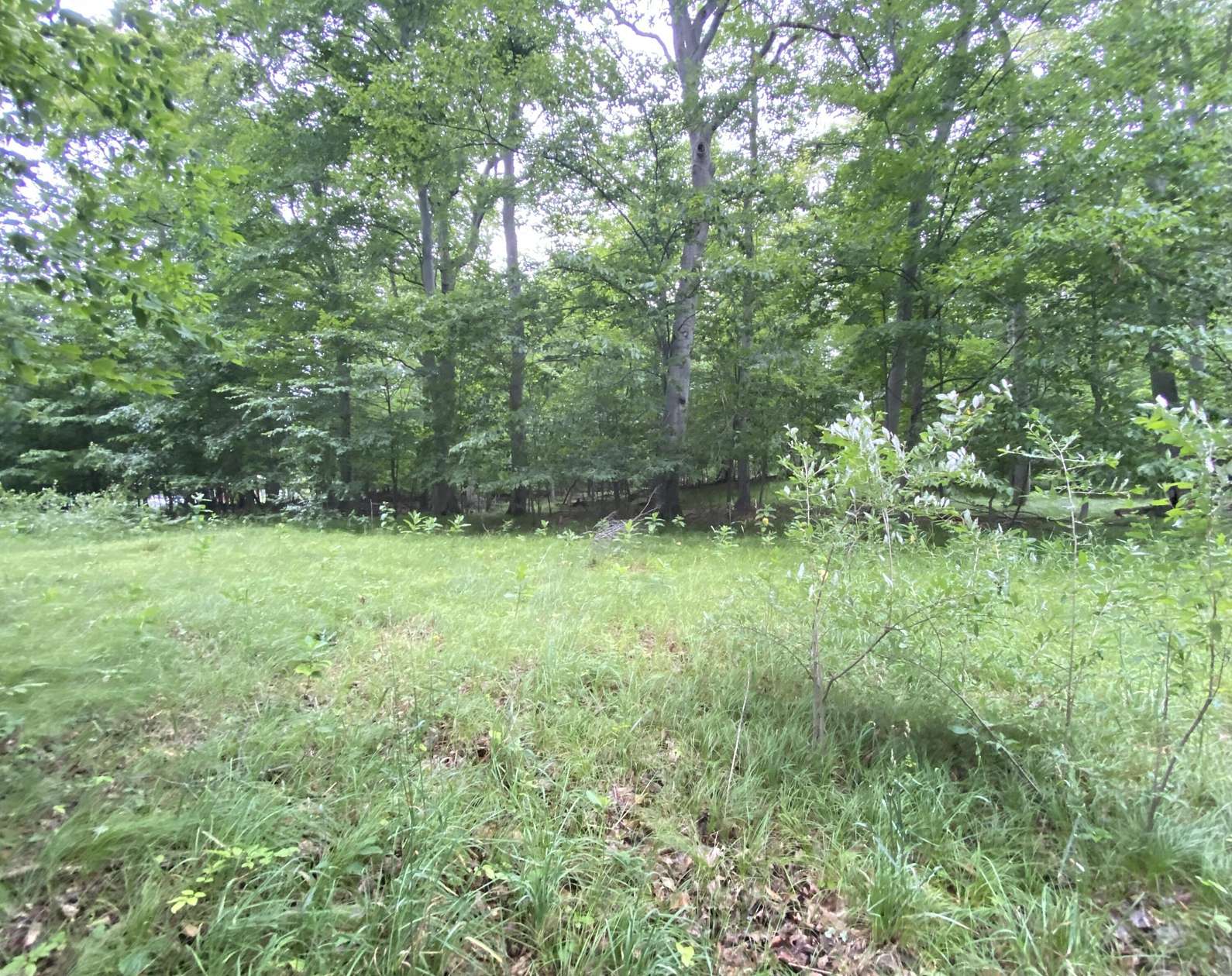 20 Acres of Recreational Land for Sale in Paris, Michigan