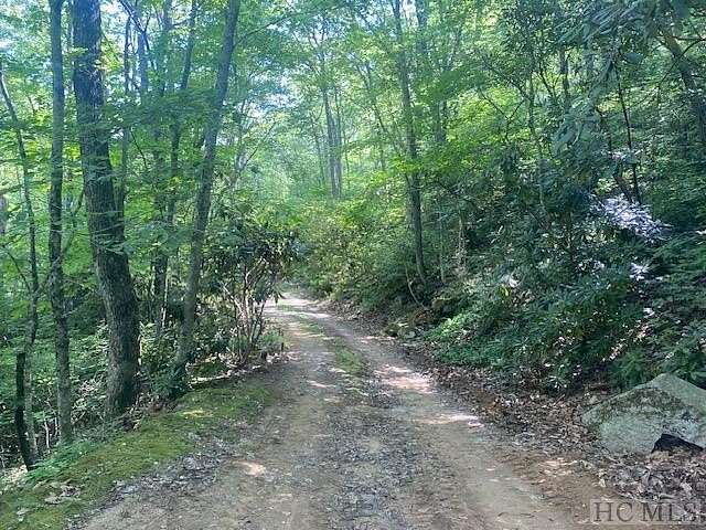 9.68 Acres of Residential Land for Sale in Scaly Mountain, North Carolina